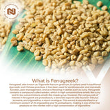 Nootropics Depot Fenugreek Extract 500mg capsules close-up