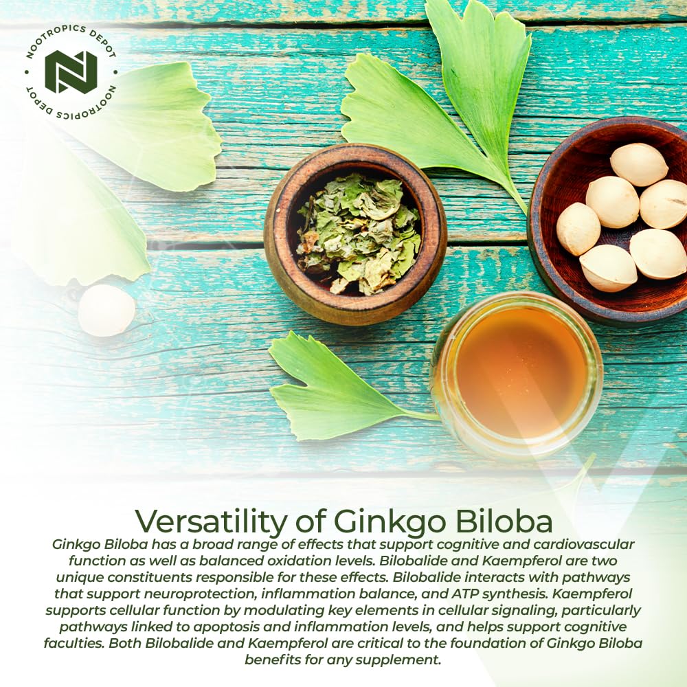 Nootropics Depot Ginkgo Biloba Extract Tablets 120mg close-up of tablets