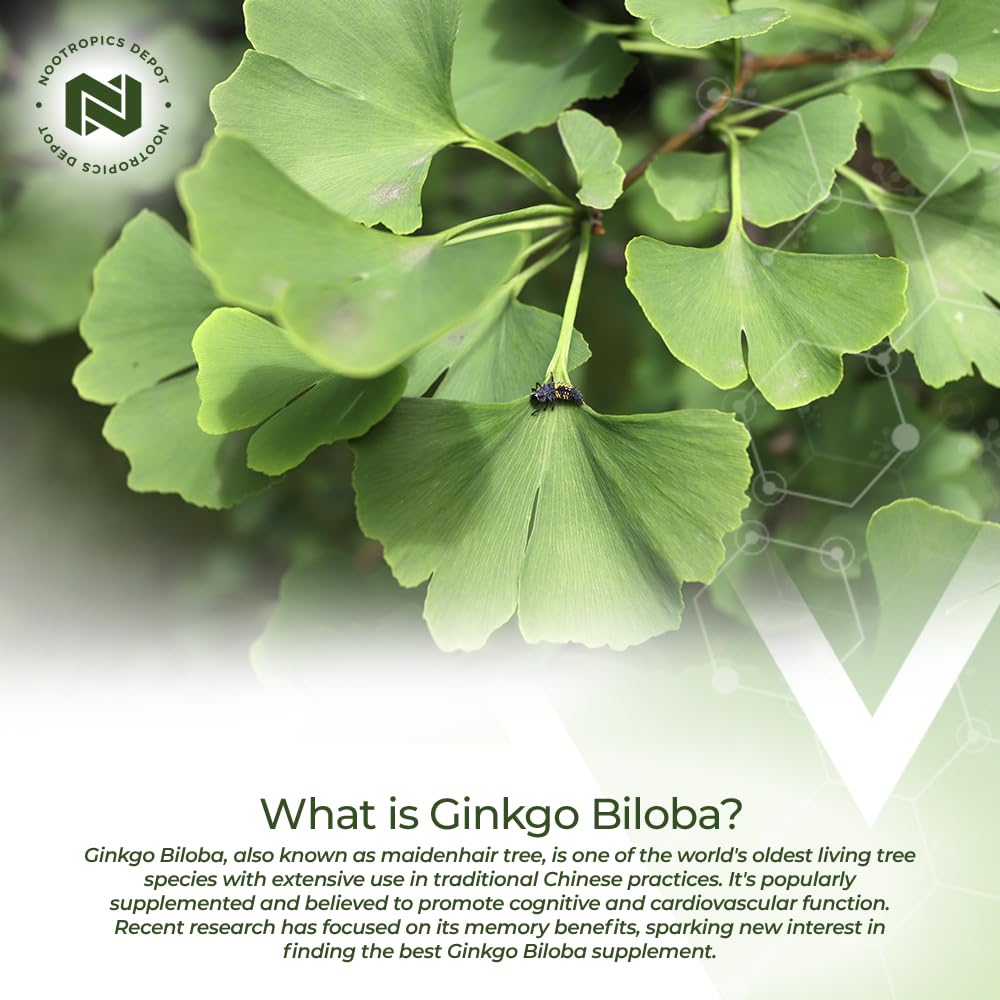 Nootropics Depot Ginkgo Biloba Extract Tablets 120mg packaging details