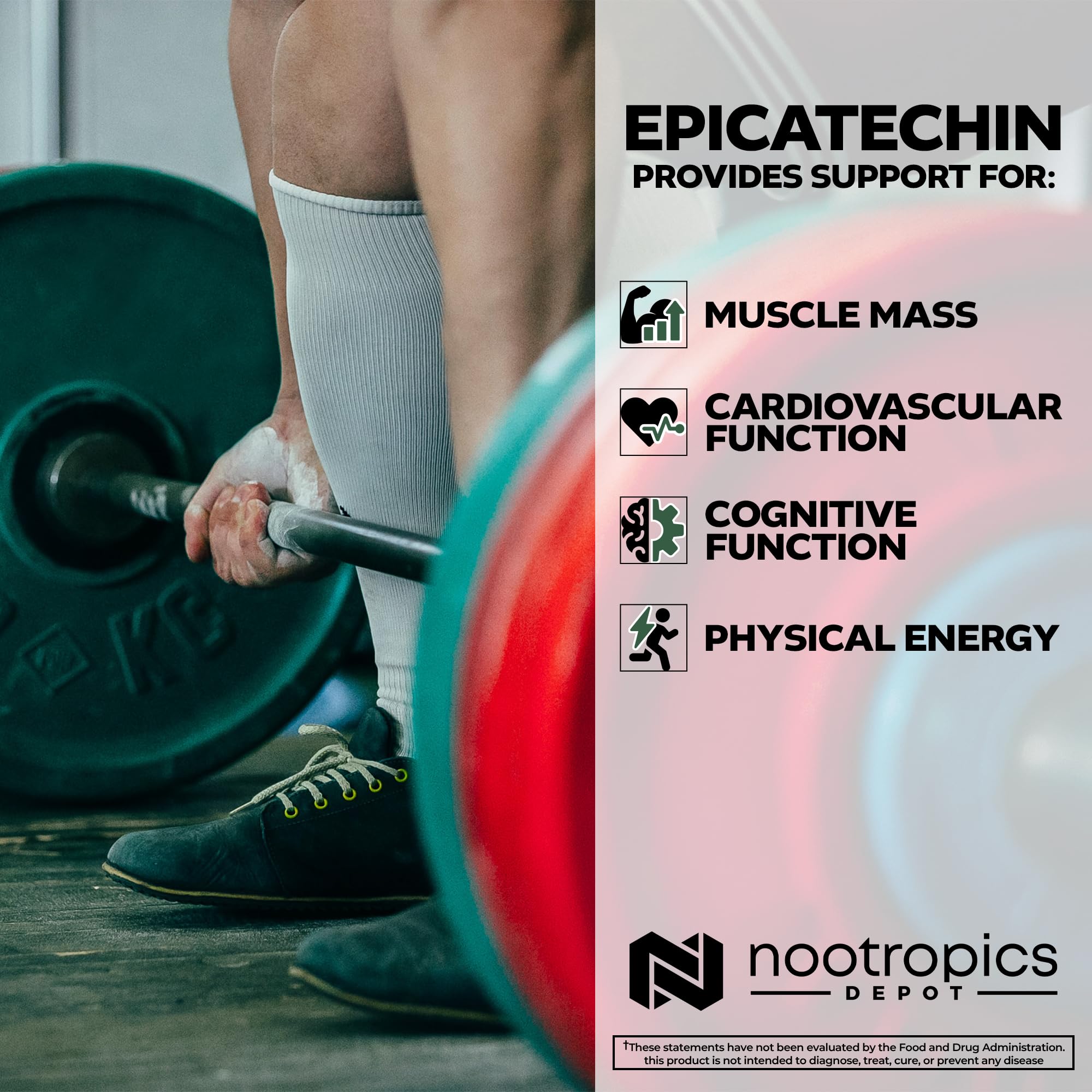 Nootropics Depot Green Tea Extract packaging