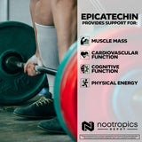 Nootropics Depot Green Tea Extract packaging
