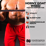 Nootropics Depot Horny Goat Weed Extract 50% Icariin capsule close-up