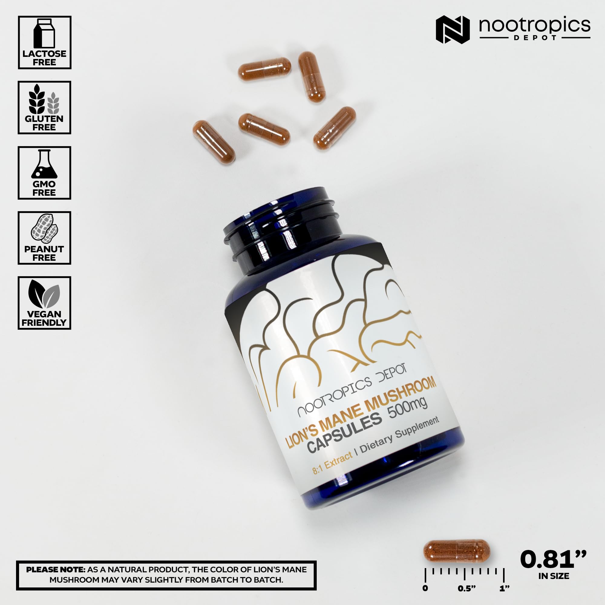 Nootropics Depot Lion's Mane Mushroom Supplement back view