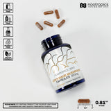 Nootropics Depot Lion's Mane Mushroom Supplement back view