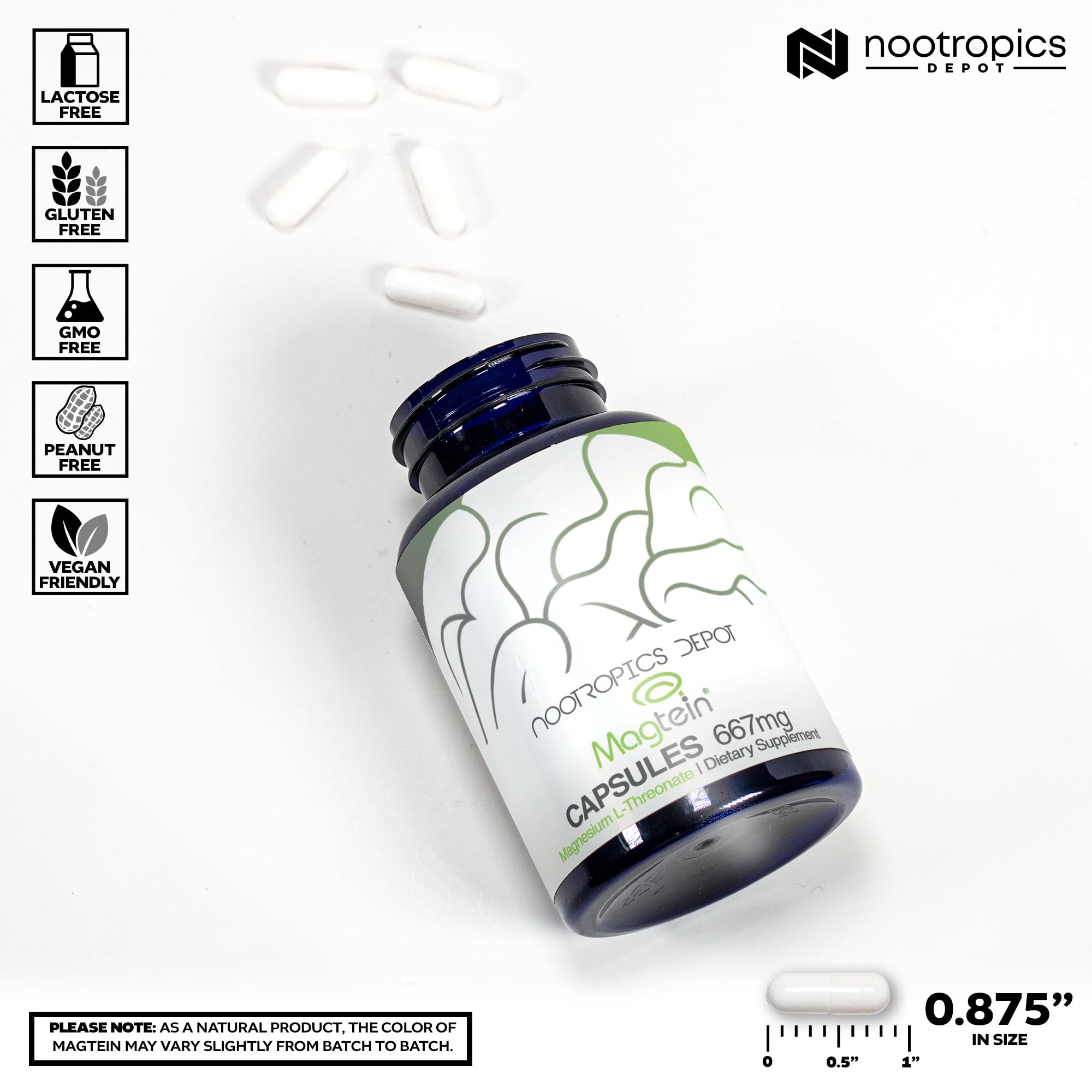 Nootropics Depot Magtein Magnesium L-Threonate 120g back view