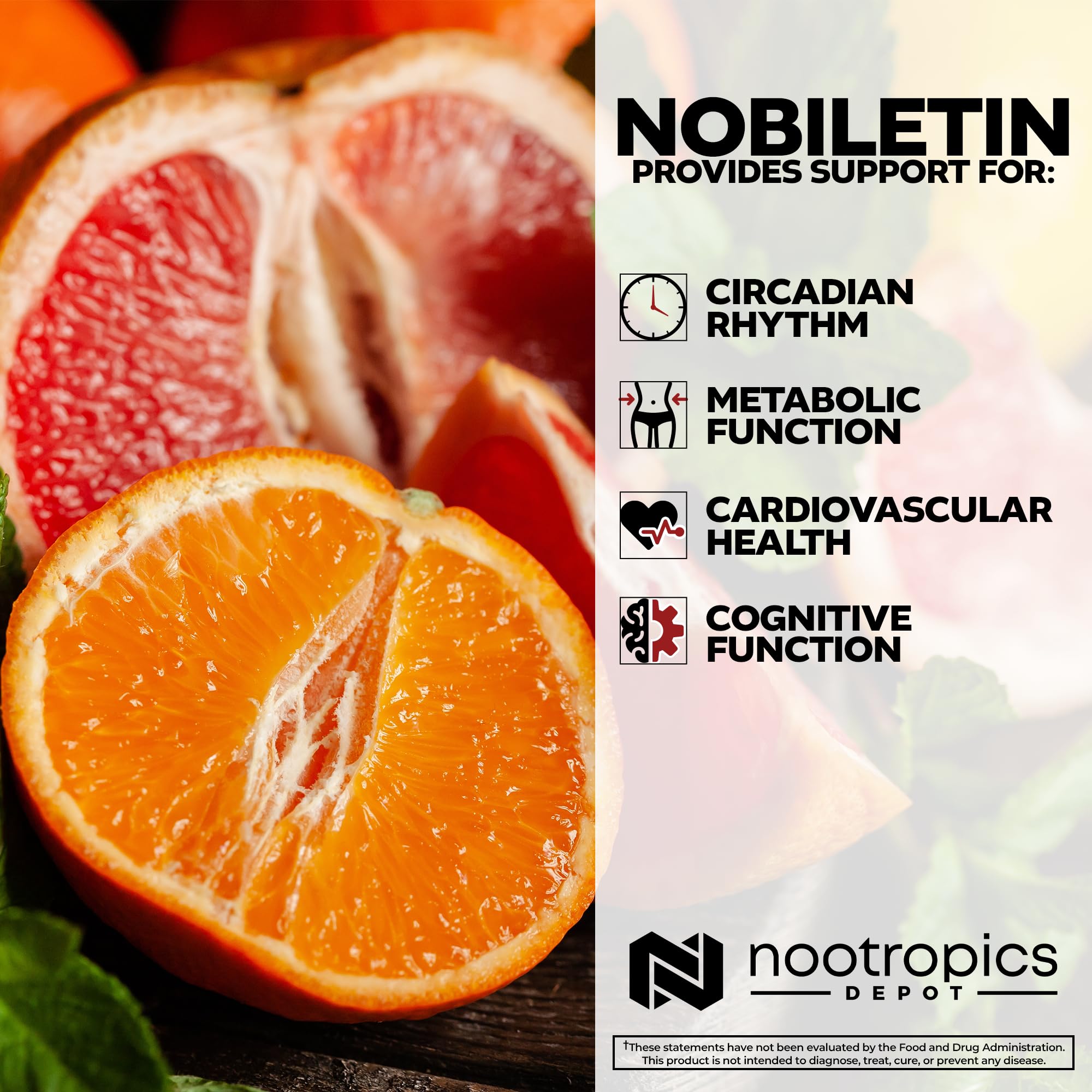 Nootropics Depot Nobiletin Capsules 30 Count with ingredients list