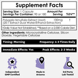 Nootropics Depot Polygala Tenuifolia Capsules 90 count bottle