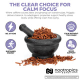 Nootropics Depot Polygala Tenuifolia Capsules on a wooden table