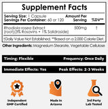 Nootropics Depot Rhodiola Rosea Extract 3% Rosavins side view