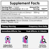 Nootropics Depot Sabroxy 32g supplement side view