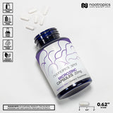 Nootropics Depot Sucrosomial Zinc 32g packaging