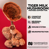 Nootropics Depot Tiger Milk Mushroom Sclerotium capsules close-up