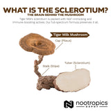 Nootropics Depot Tiger Milk Mushroom Sclerotium ingredients list