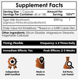 Nootropics Depot Tiger Milk Mushroom Sclerotium side view