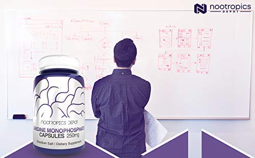 Nootropics Depot Uridine Monophosphate Powder 91g with measuring scoop