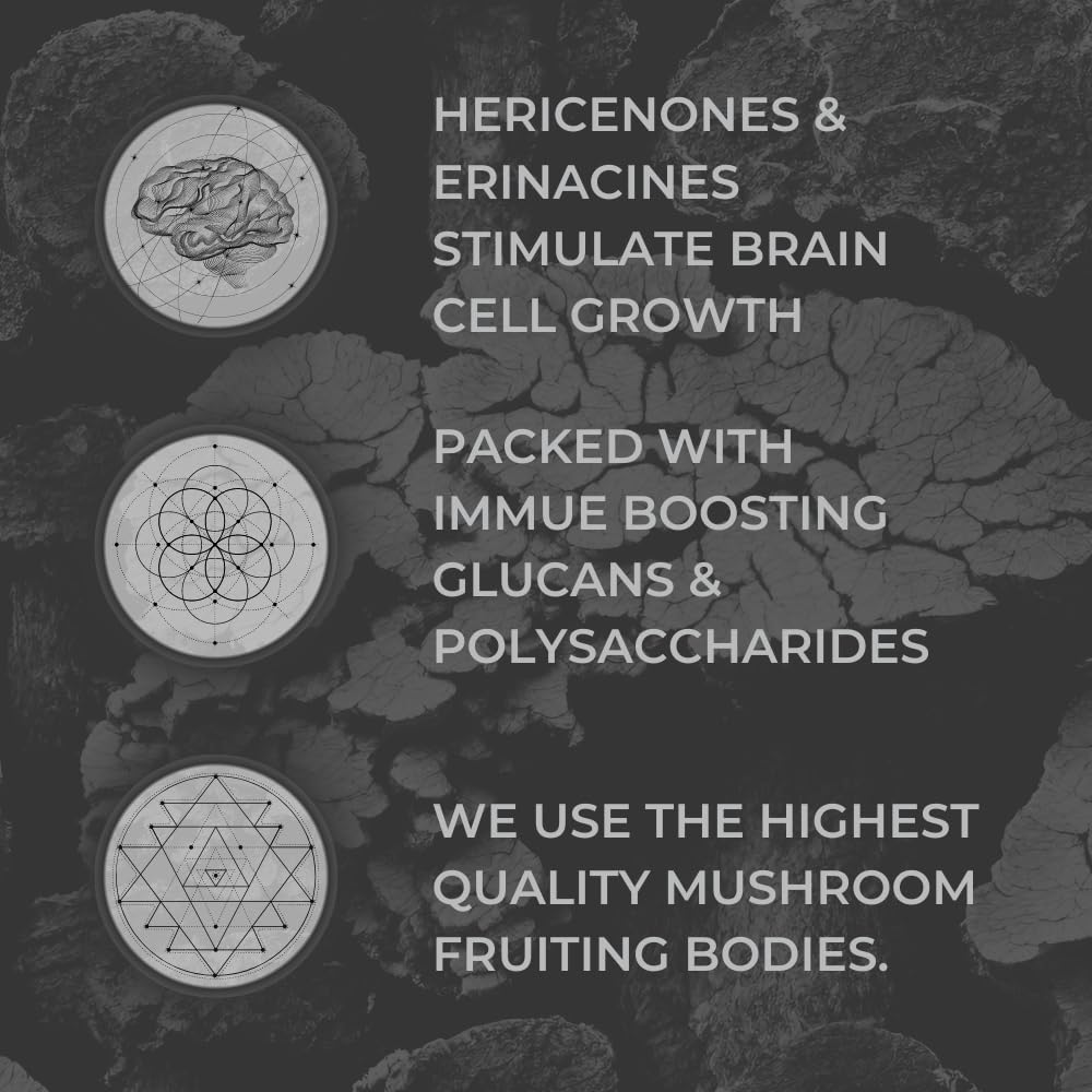 Nootrum Mushroom Supplement 82g back view with ingredients
