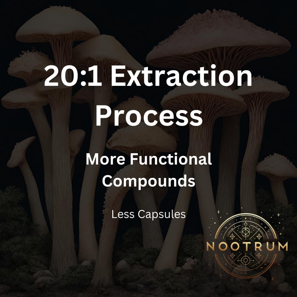 Nootrum Mushroom Supplement 82g side view showing packaging
