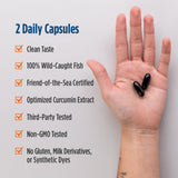 Nordic Naturals Omega Memory with Curcumin ingredients list