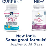Nordic Naturals Prenatal DHA 50g back view showing ingredients