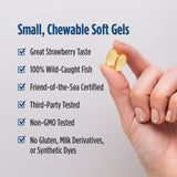 Nordic Naturals ProOmega 2000 Jr. Omega-3 Fish Oil with strawberry flavour