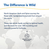 NORTH AMERICAN HERB & SPICE Oreganol P73 Wild Oregano Oil capsules with olive oil