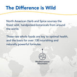 NORTH AMERICAN HERB & SPICE Oreganol P73 Wild Oregano Oil lifestyle scene