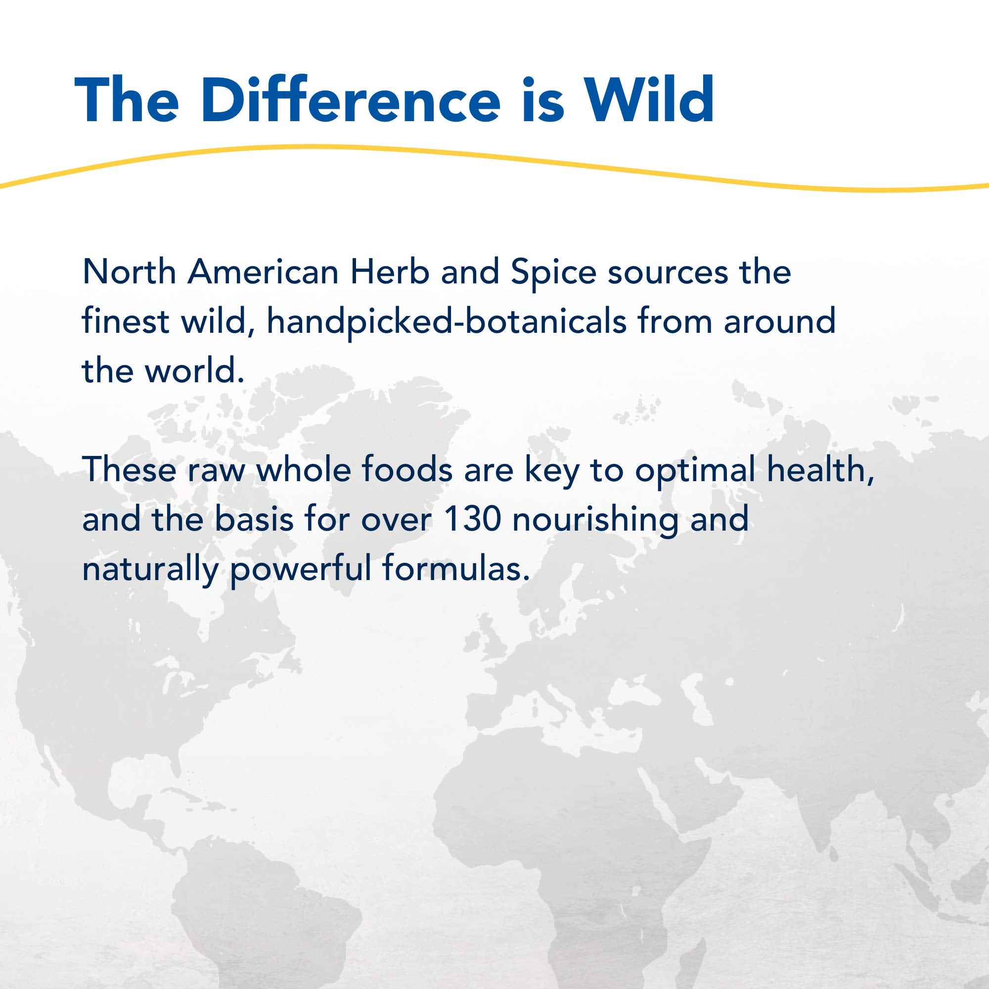 NORTH AMERICAN HERB & SPICE Resp-daily wellness Black Seed & Oregano Oil in a kitchen setting