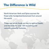 NORTH AMERICAN HERB & SPICE Resp-daily wellness Black Seed & Oregano Oil in a kitchen setting