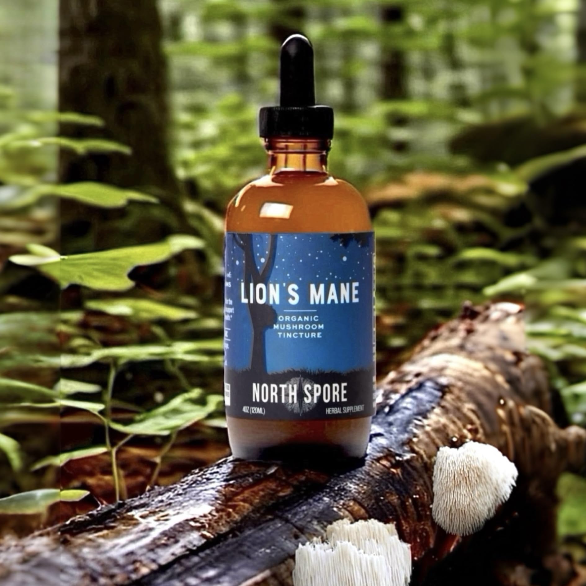 North Spore Lion's Mane Mushroom Extract 4oz liquid tincture dropper close-up