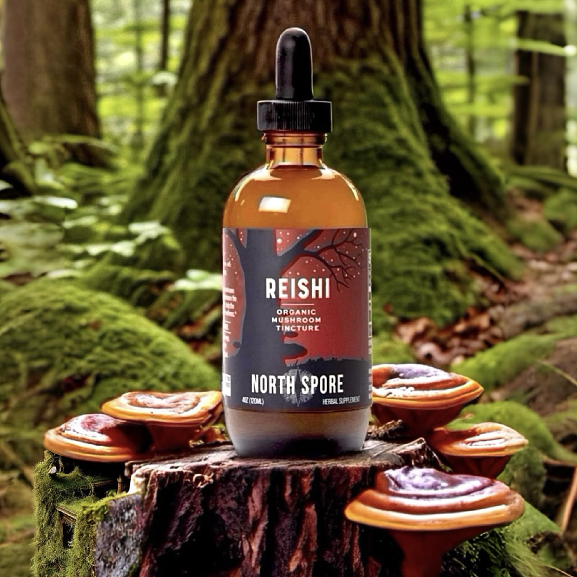 North Spore Organic Reishi Mushroom Tincture bottle with dropper