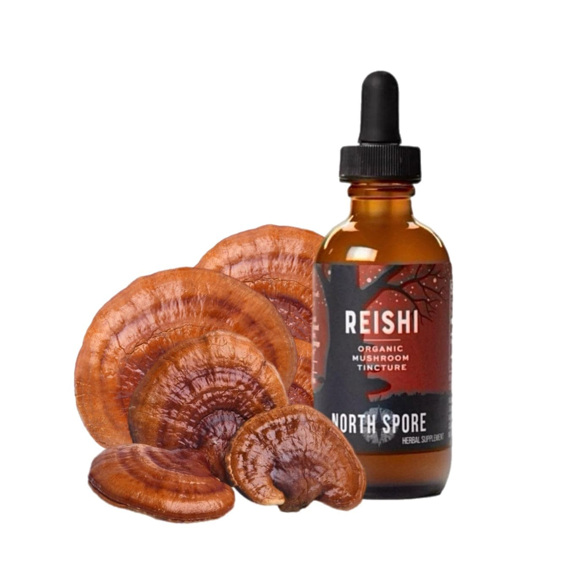 North Spore Organic Reishi Mushroom Tincture front view