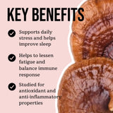 North Spore Organic Reishi Mushroom Tincture side view