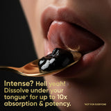 NOTSHY Shilajit Resin 30g close-up of resin texture
