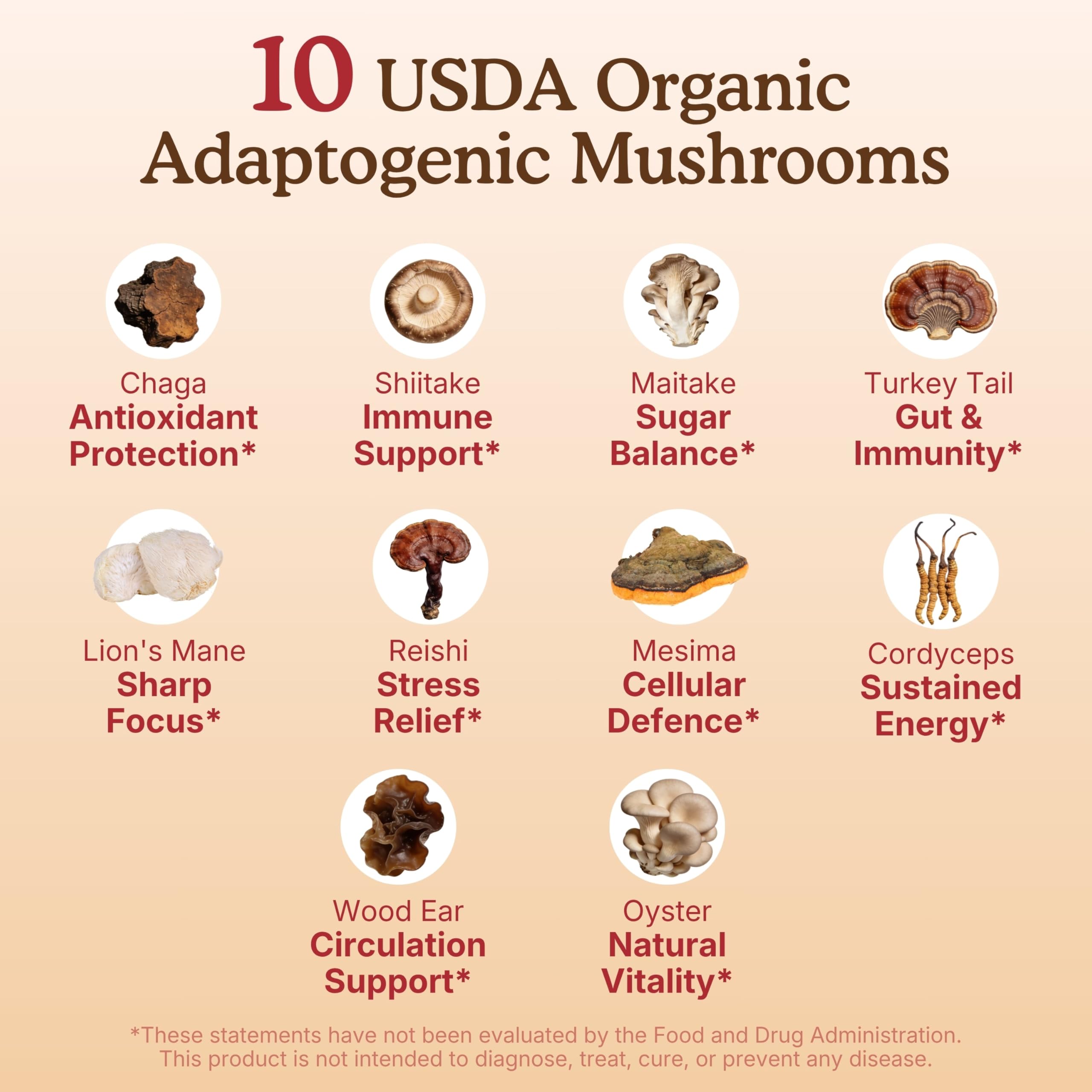Nourishing Nutrients Organic Mushroom Powder Blend ingredients list