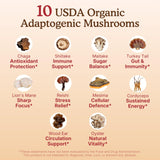 Nourishing Nutrients Organic Mushroom Powder Blend ingredients list