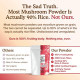 Nourishing Nutrients Organic Mushroom Powder Blend mixed in a smoothie