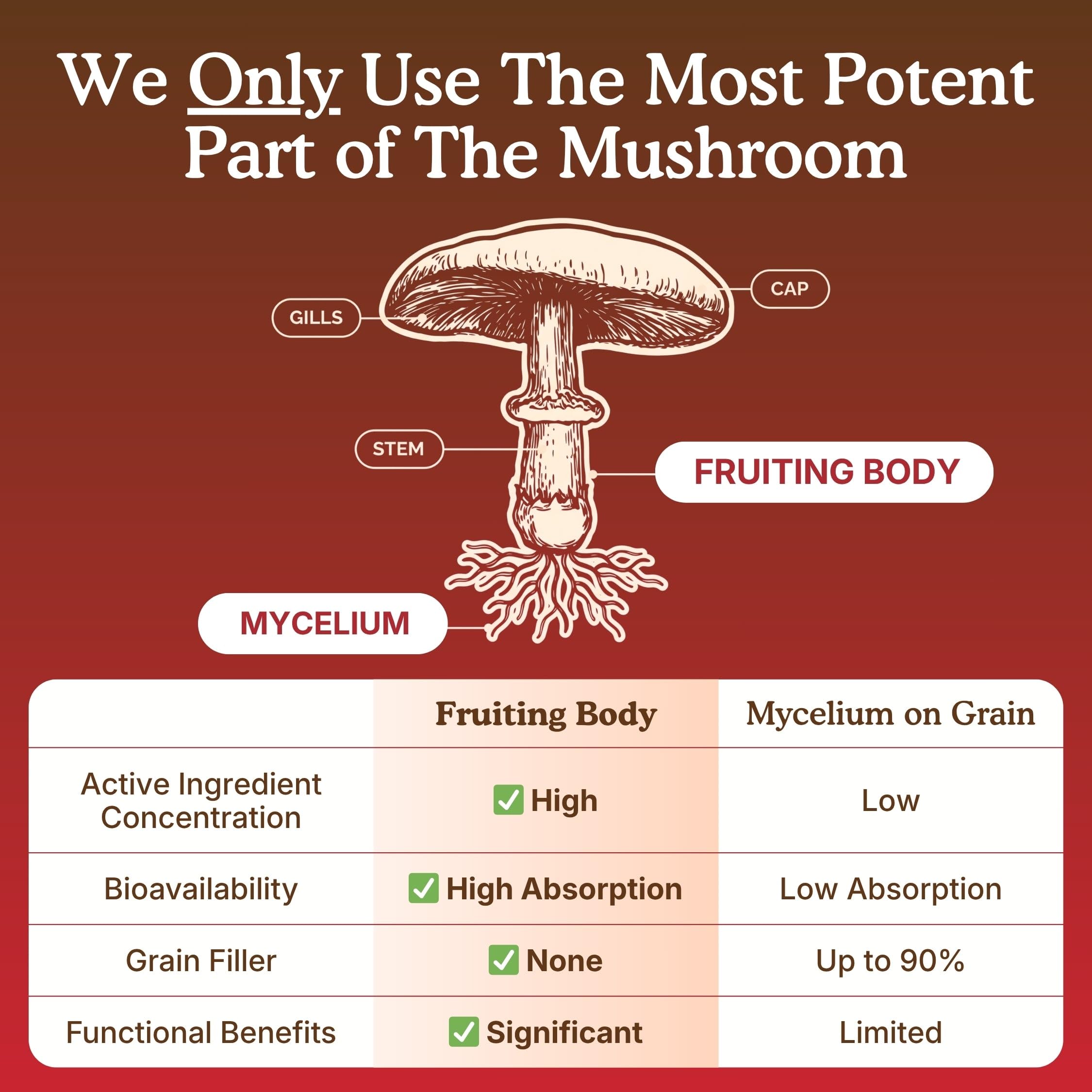 Nourishing Nutrients Organic Mushroom Powder Blend with coffee