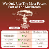 Nourishing Nutrients Organic Mushroom Powder Blend with coffee