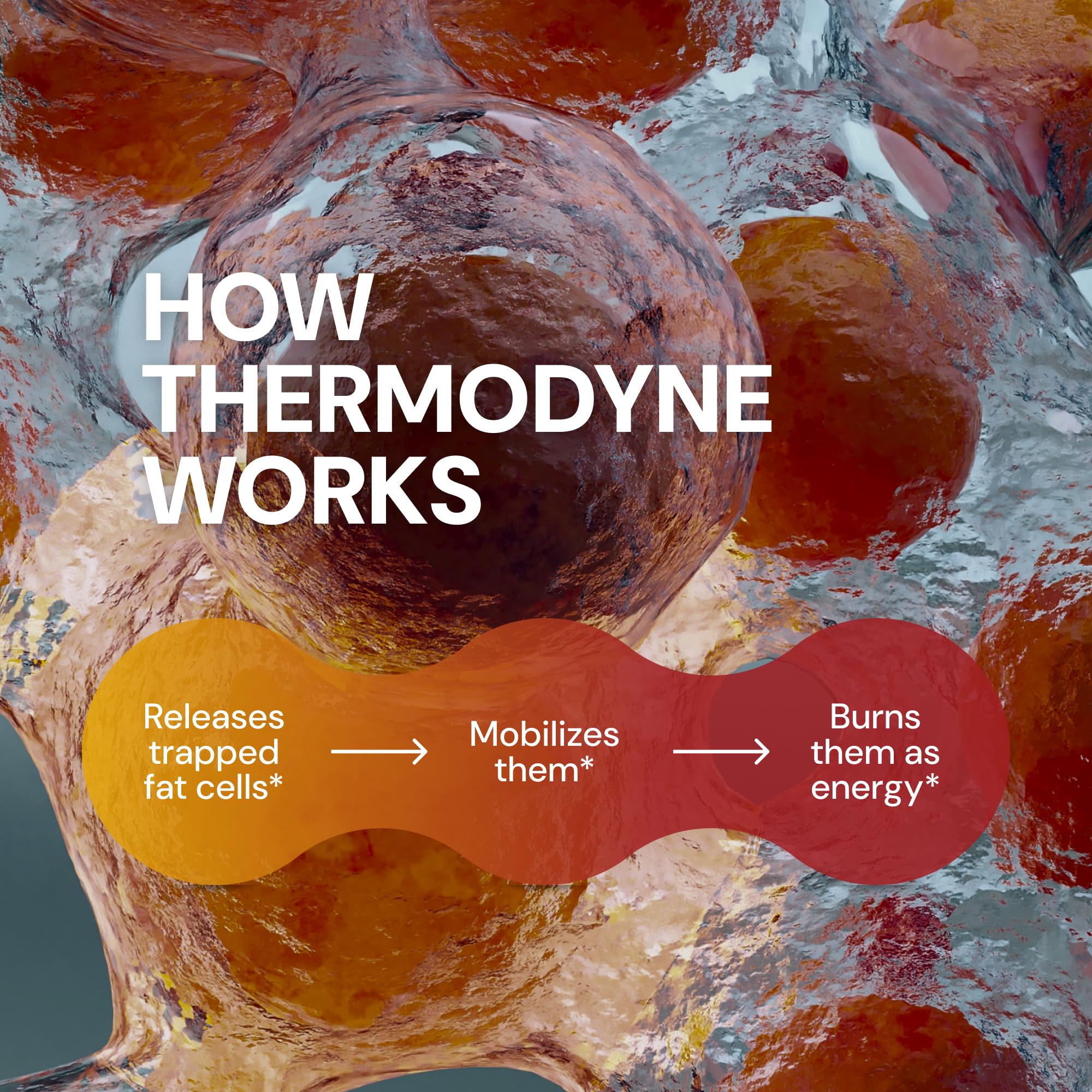 Novex Biotech ThermoDyne Fat Burner with a measuring scoop