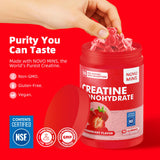 novomins Creatine Monohydrate Gummies bottle side view