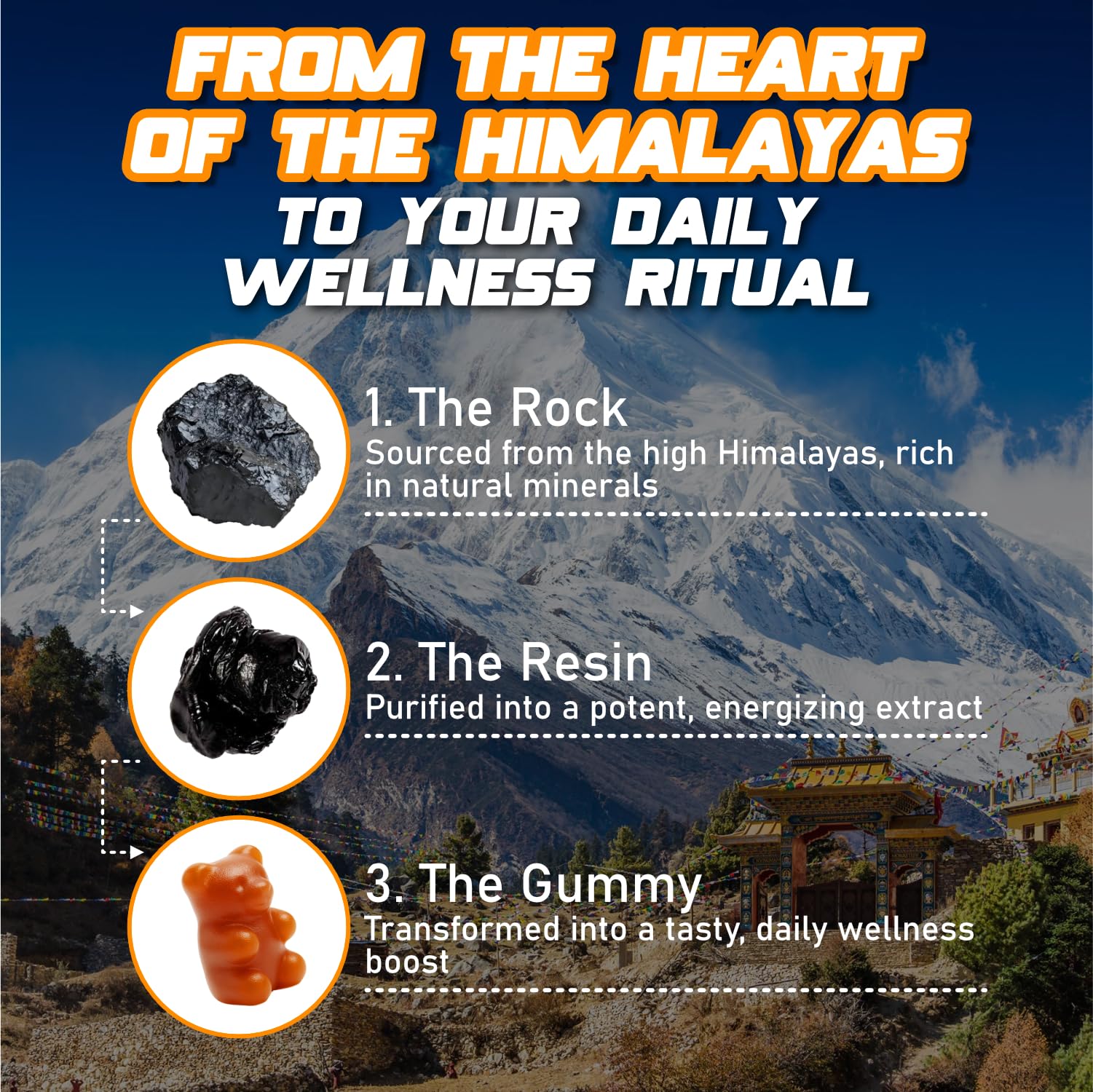 Novure Shilajit 3000mg supplement back view