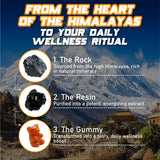 Novure Shilajit 3000mg supplement back view