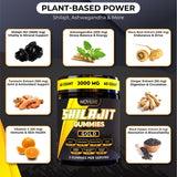 Novure Shilajit 3000mg supplement with ingredients