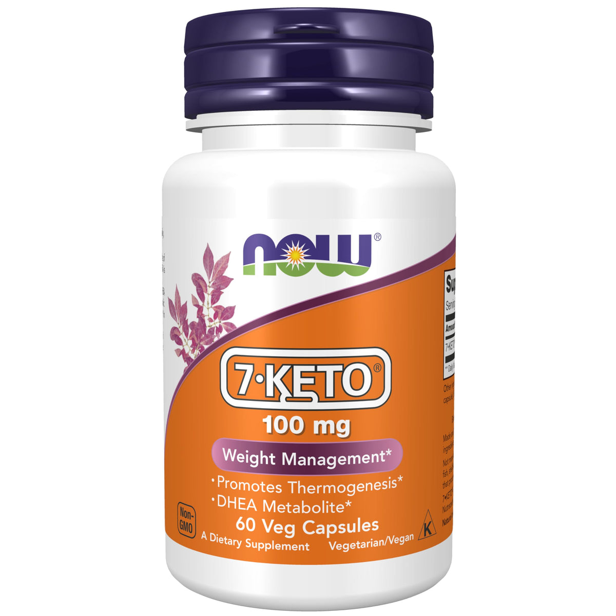NOW Foods 7-Keto DHEA 100mg vegan capsules front view