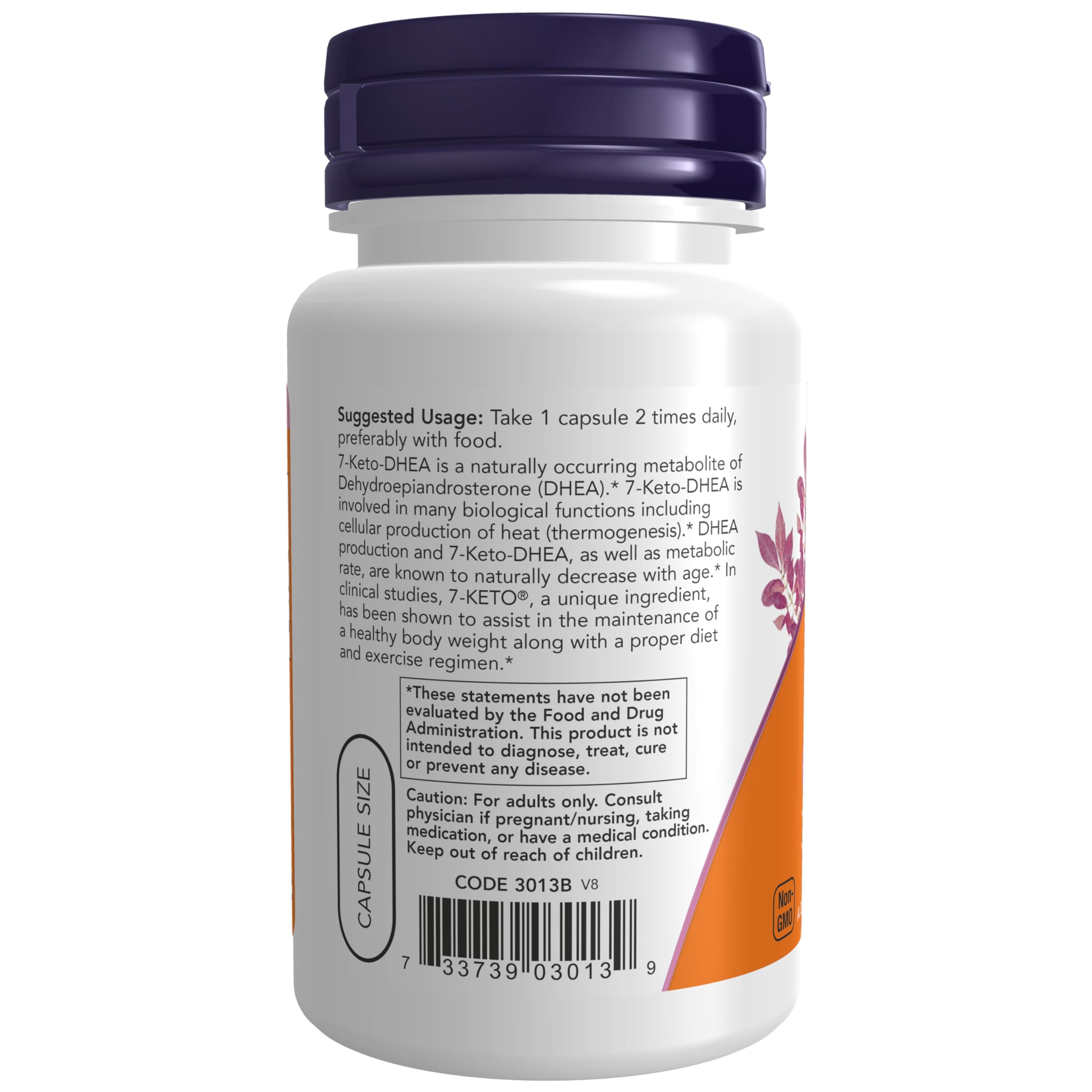 NOW Foods 7-Keto DHEA 100mg vegan capsules packaging