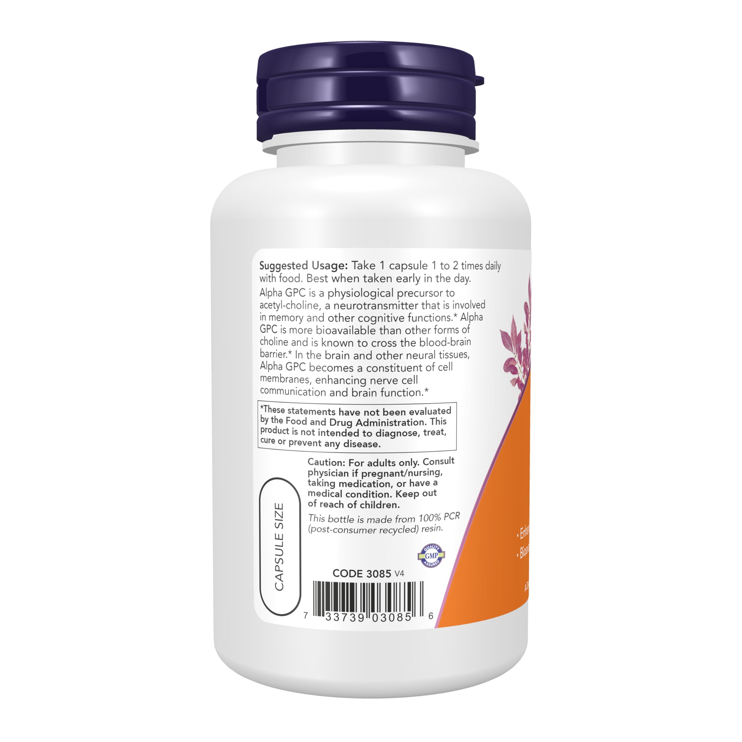 NOW Foods Alpha GPC Choline Supplement 163g capsule close-up