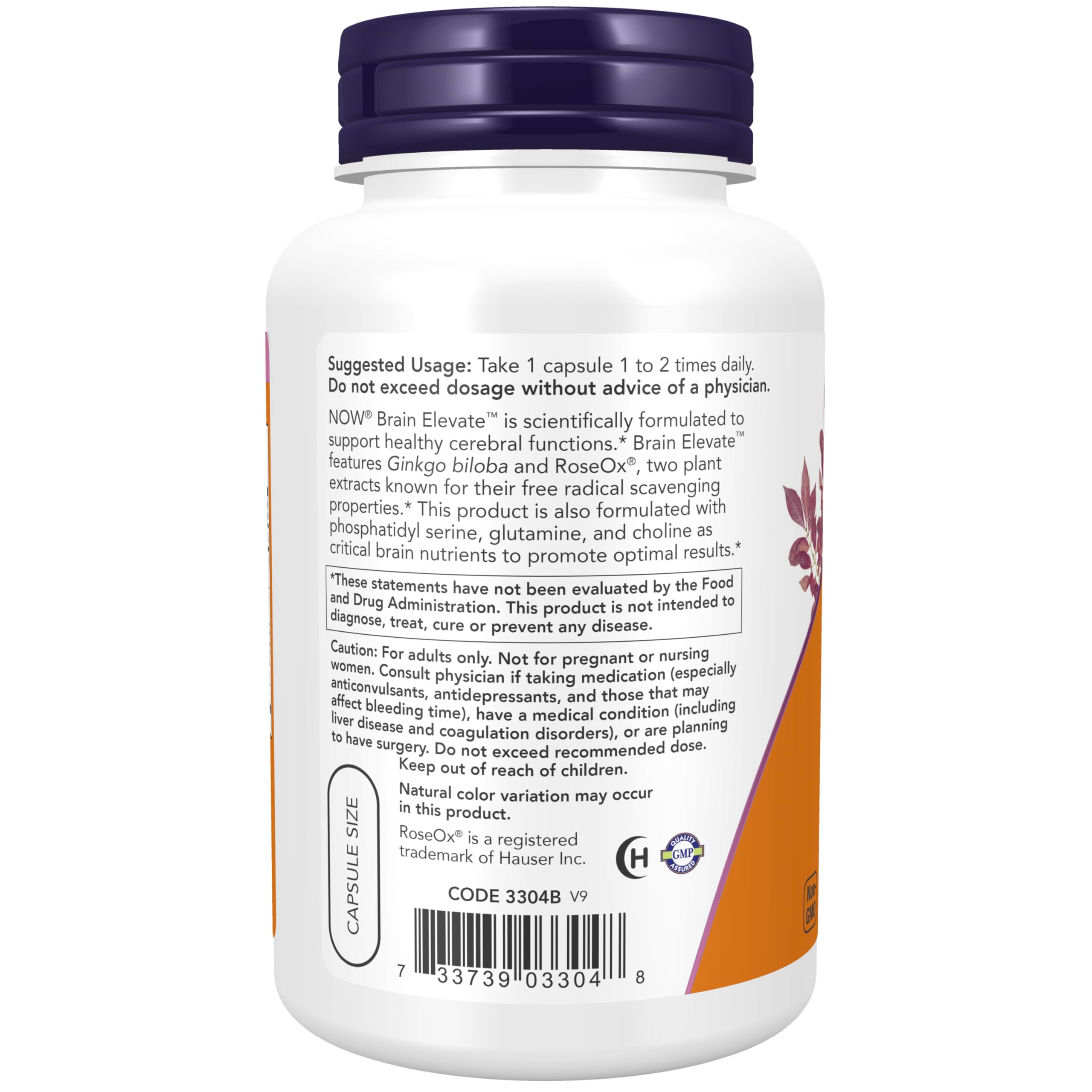 NOW Foods Brain support Ginkgo Biloba 110g capsules back view