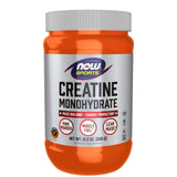 NOW Foods Creatine Monohydrate 699g front view