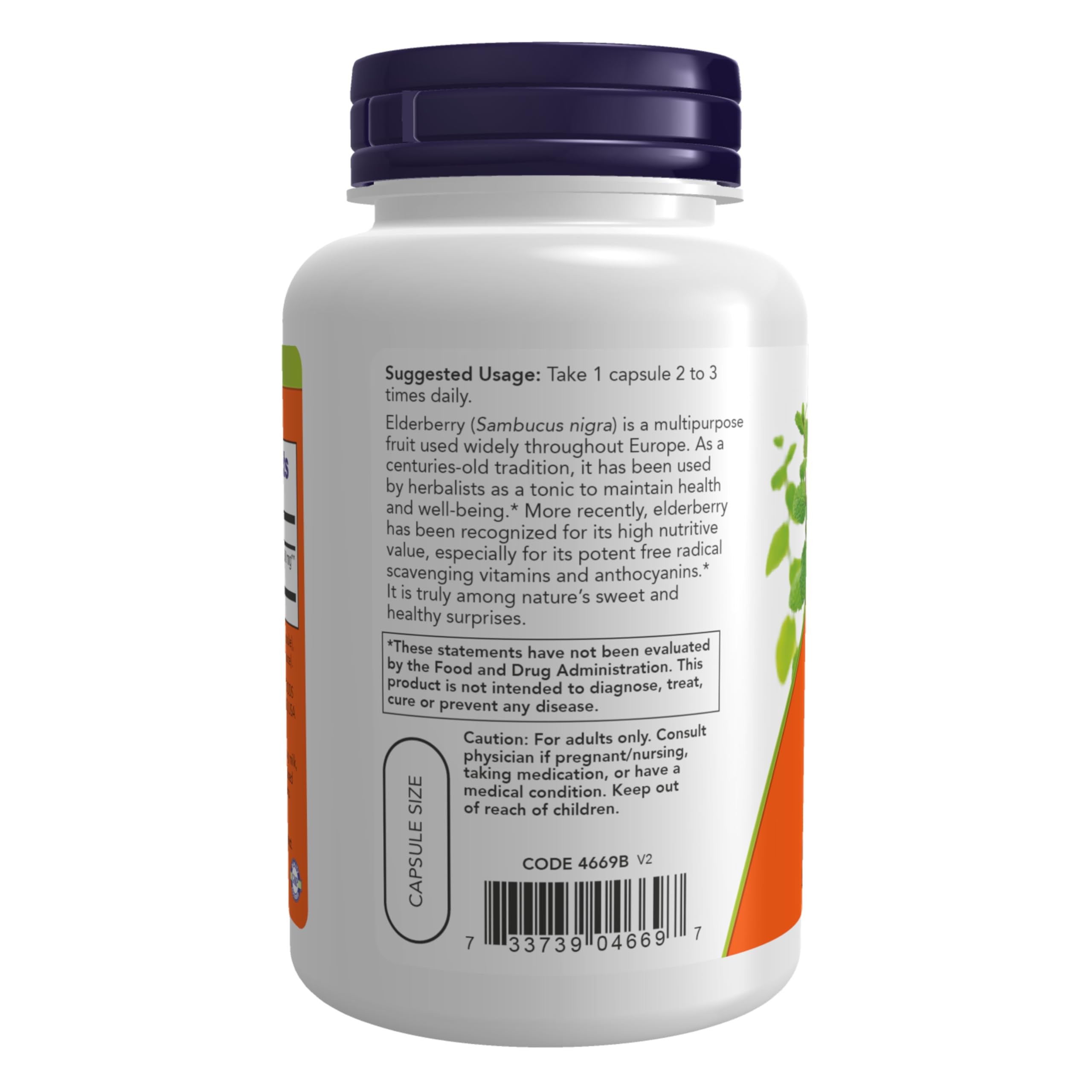 NOW Foods Elderberry 10:1 Concentrate 113g back view