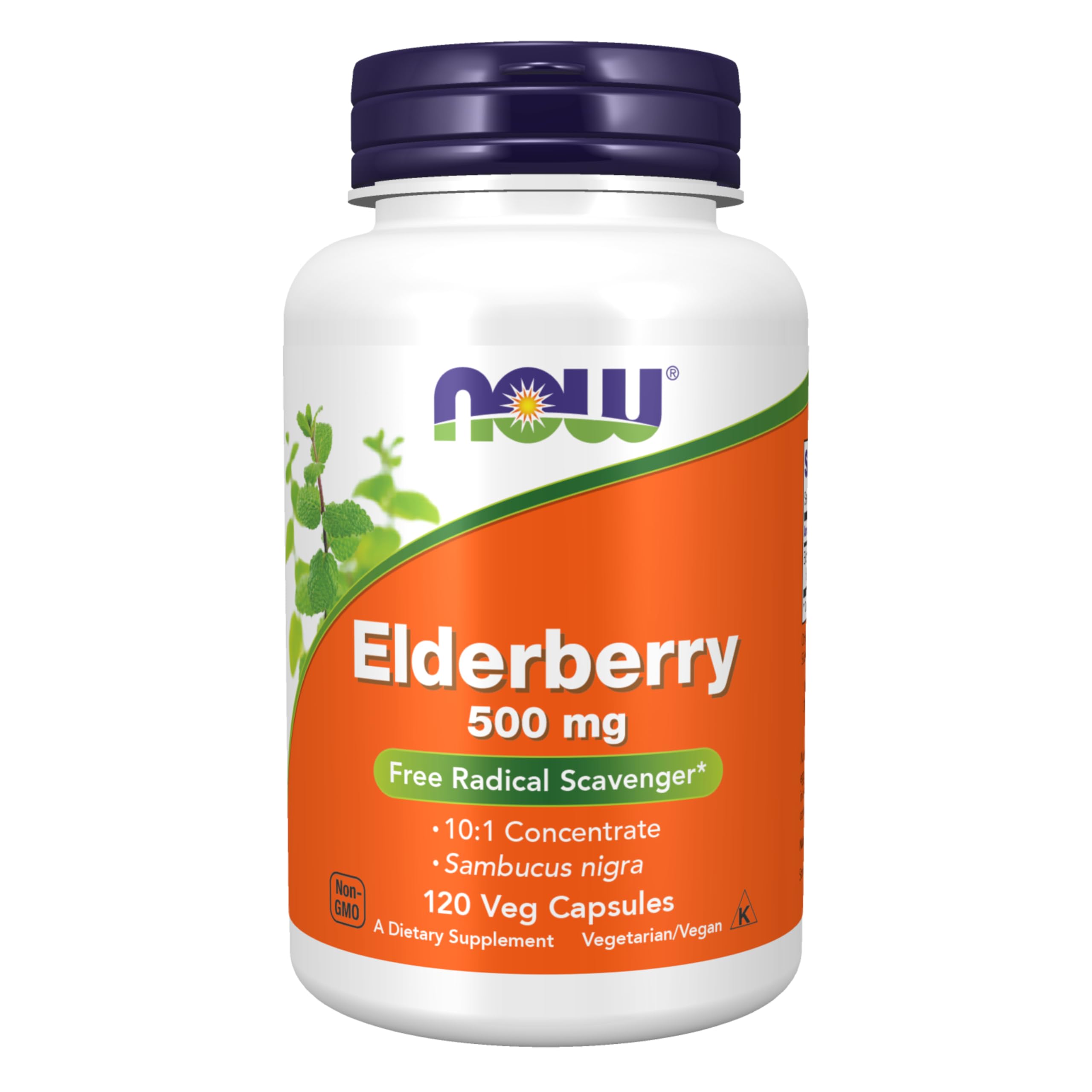 NOW Foods Elderberry 10:1 Concentrate 113g front view